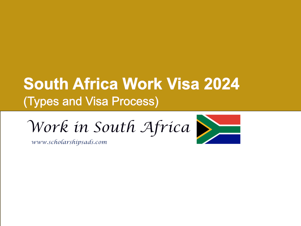 South Africa Work Visa 2024 Visa Process And Types 5206